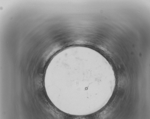 X0000060771314200511171203