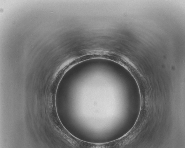 X0000060771315200511171203