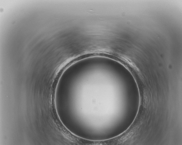 X0000060771316200511171203