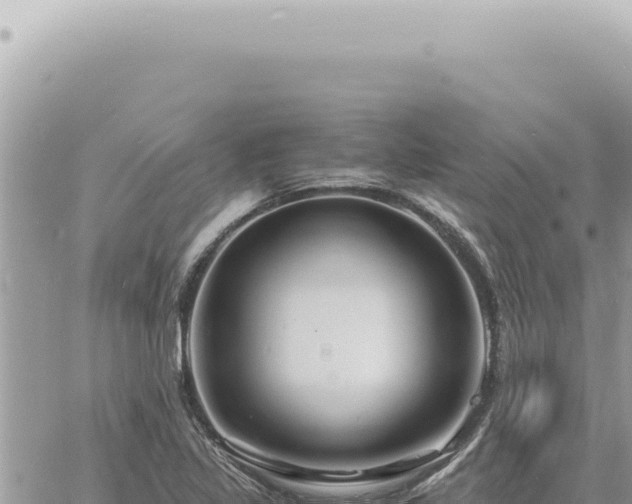 X0000060771317200511171203