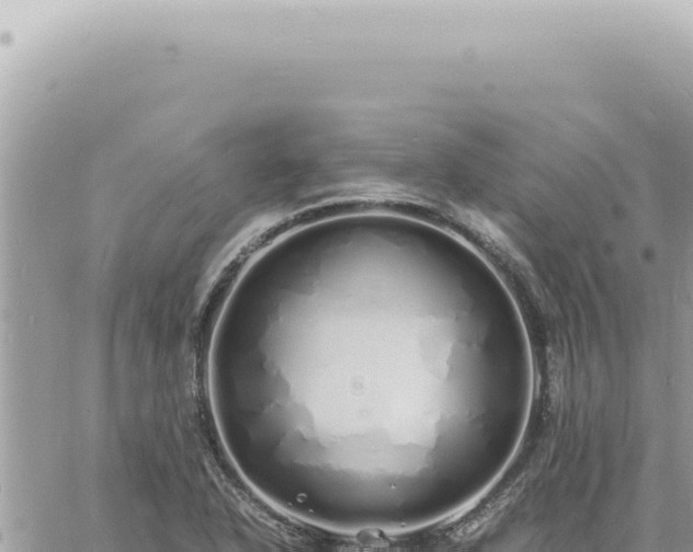 X0000060771318200511171203