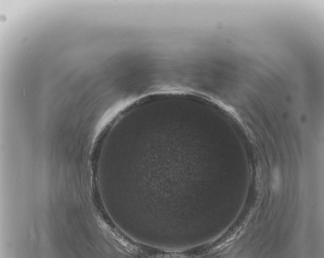 X0000060771319200511171203