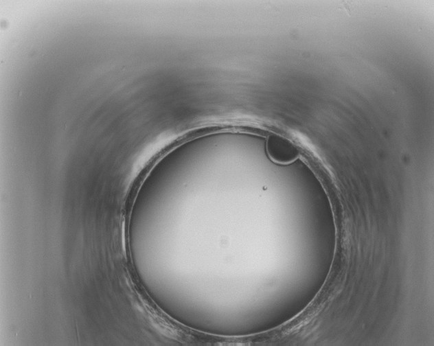 X0000060771320200511171203