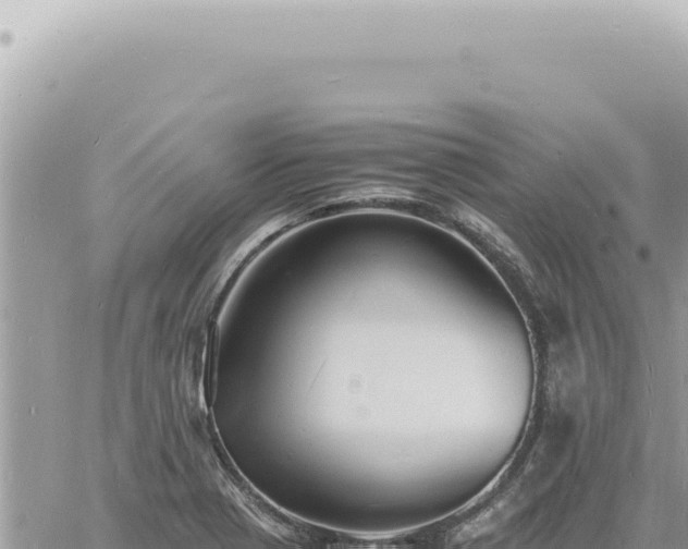 X0000060771321200511171203