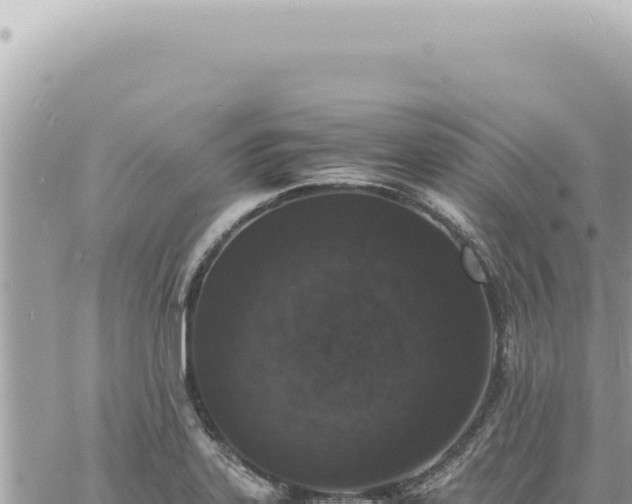 X0000060771323200511171203