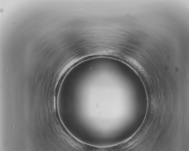 X0000060771324200511171203