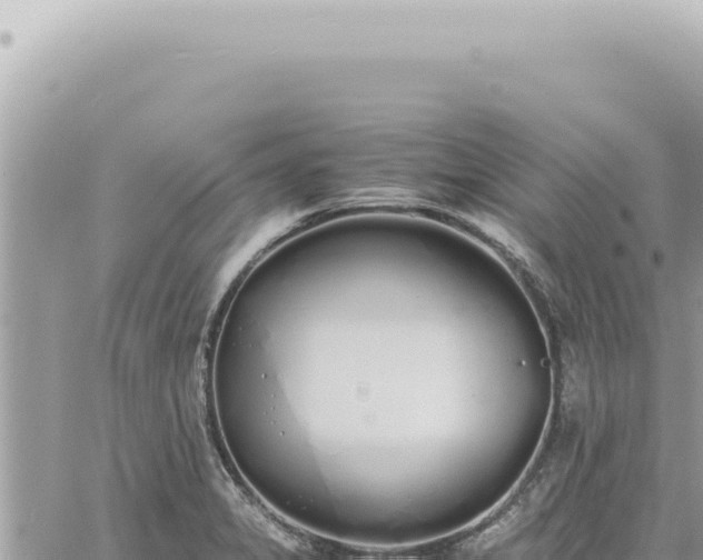 X0000060771325200511171203