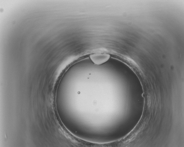 X0000060771326200511171203