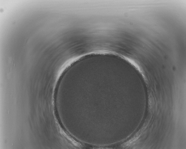 X0000060771327200511171203