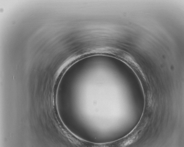 X0000060771328200511171203