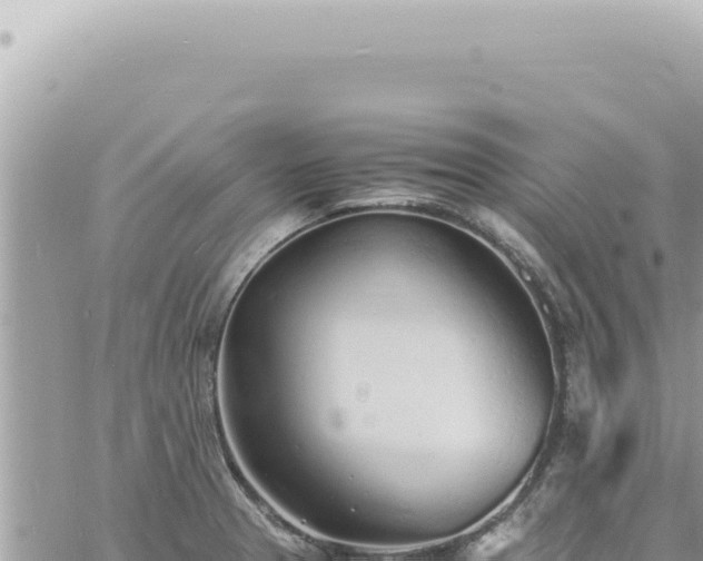 X0000060771329200511171203