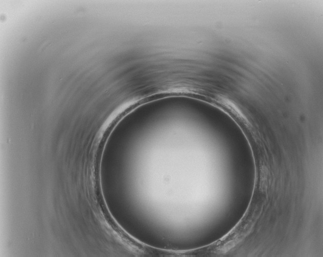 X0000060771331200511171203