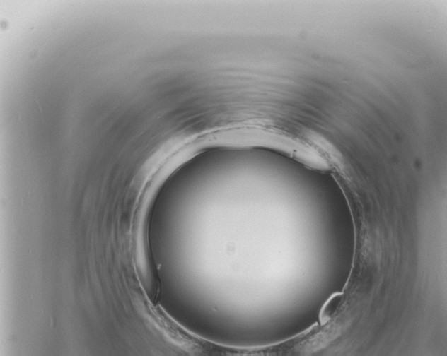 X0000060771332200511171203