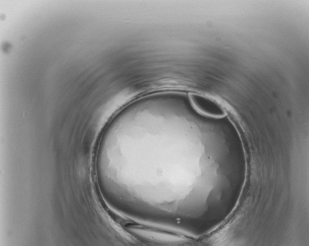 X0000060771333200511171203