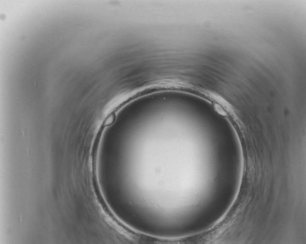 X0000060771335200511171203