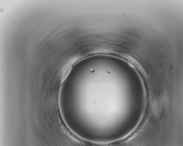 X0000060771337200511171203