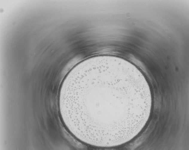 X0000060771338200511171203