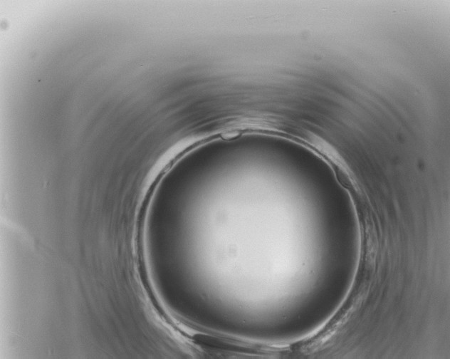 X0000060771339200511171203