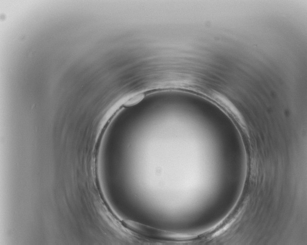 X0000060771340200511171203