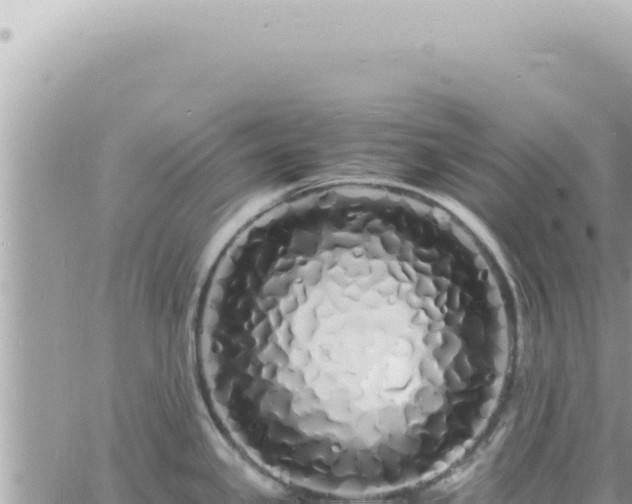 X0000060771341200511171203