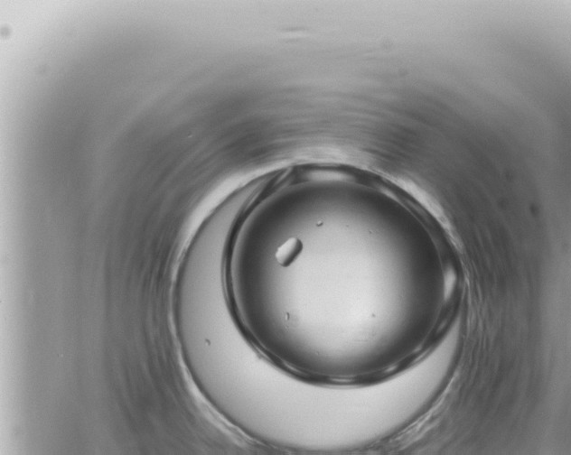 X0000060771342200511171204