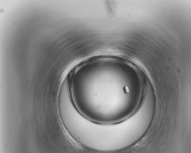 X0000060771344200511171204