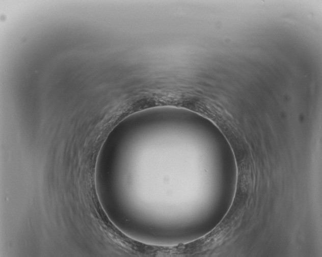 X0000060771345200511171203