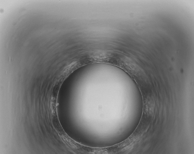 X0000060771346200511171203