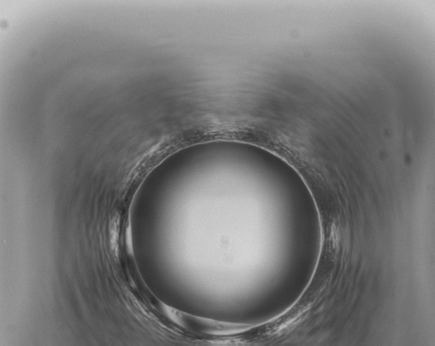 X0000060771348200511171203