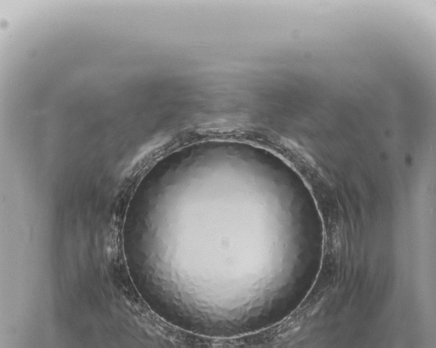 X0000060771350200511171203