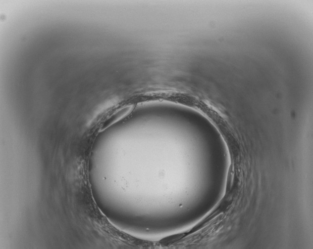 X0000060771351200511171203