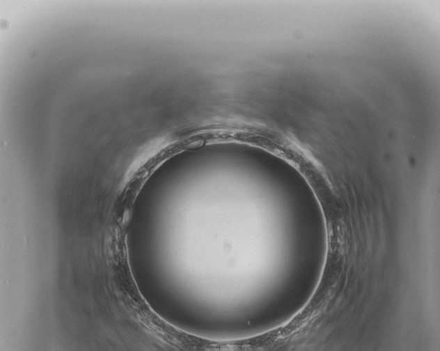 X0000060771352200511171203