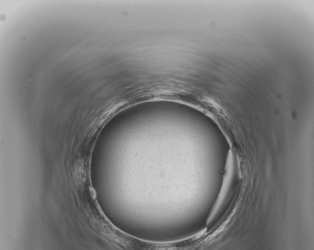 X0000060771353200511171203