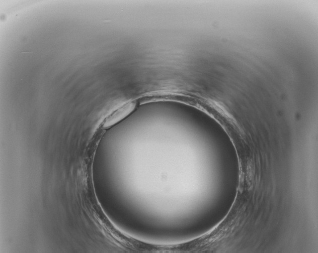 X0000060771356200511171203