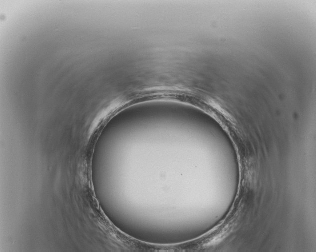 X0000060771357200511171203