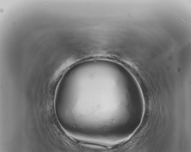 X0000060771359200511171203