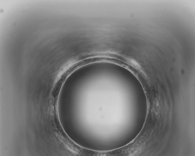 X0000060771360200511171203