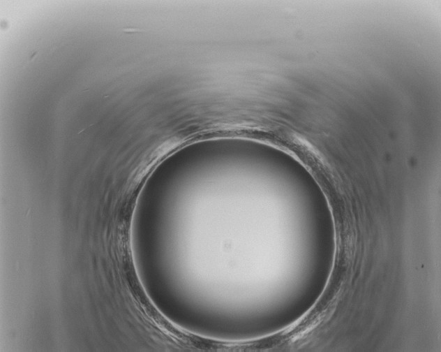 X0000060771361200511171202