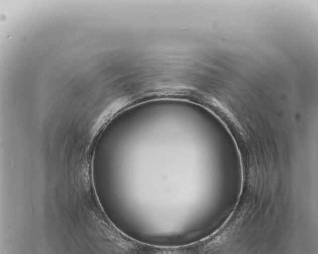 X0000060771362200511171202