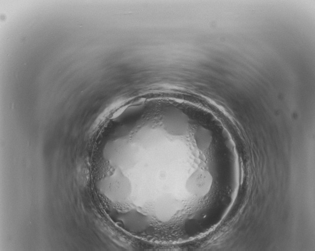 X0000060771363200511171202