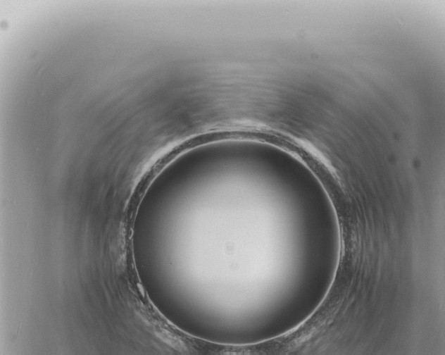 X0000060771364200511171202