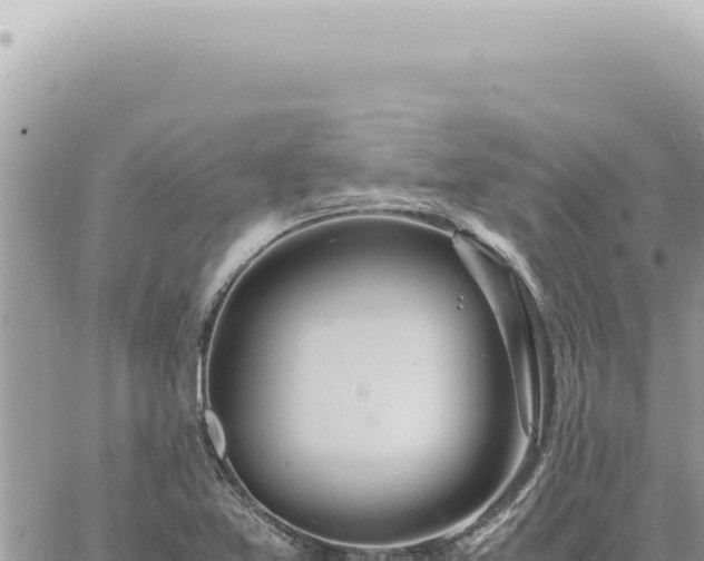 X0000060771365200511171202