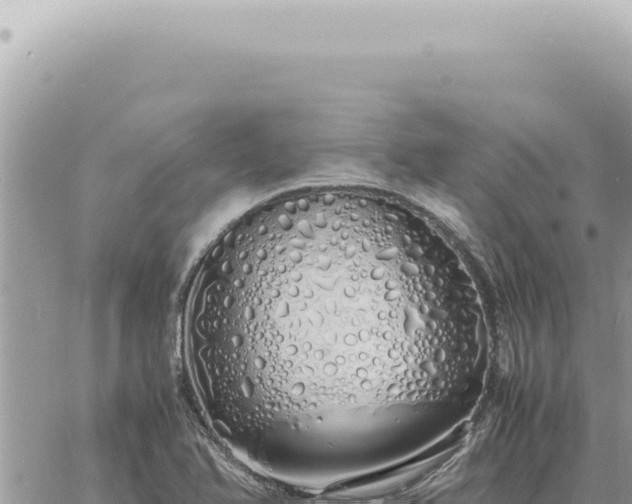 X0000060771366200511171202