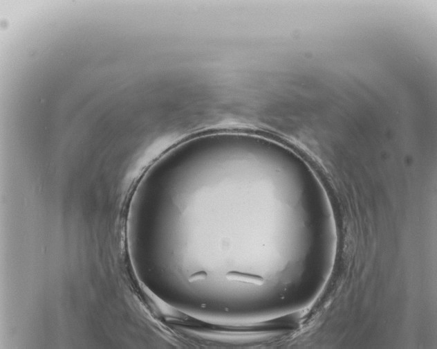 X0000060771367200511171202