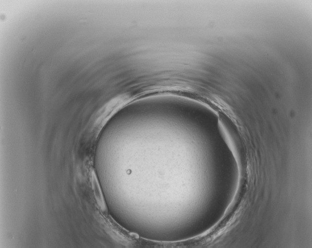 X0000060771369200511171202