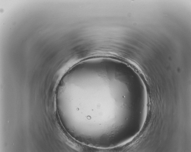 X0000060771371200511171202