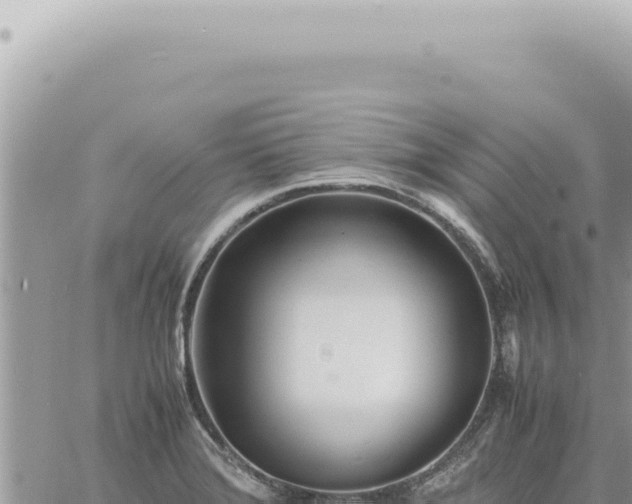 X0000060771372200511171202