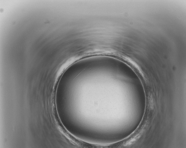 X0000060771373200511171202