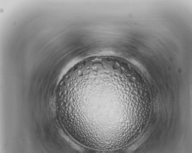 X0000060771374200511171202