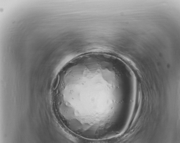 X0000060771375200511171202